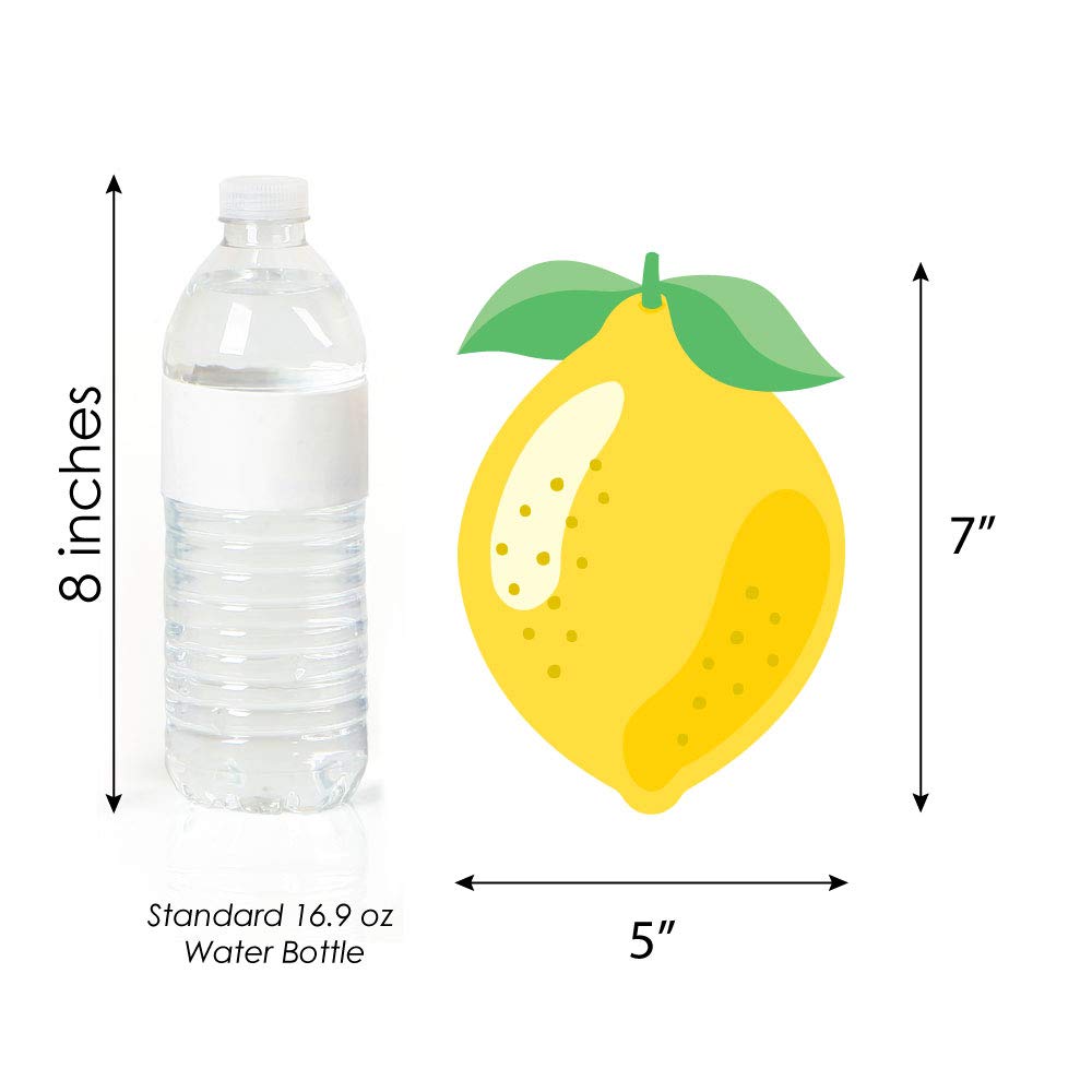 Big Dot of Happiness So Fresh Decorations DIY Citrus Lemonade Party