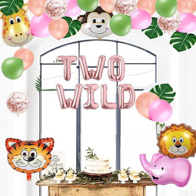 Two Wild Birthday Party Decorations Jungle Themed Secend Girl