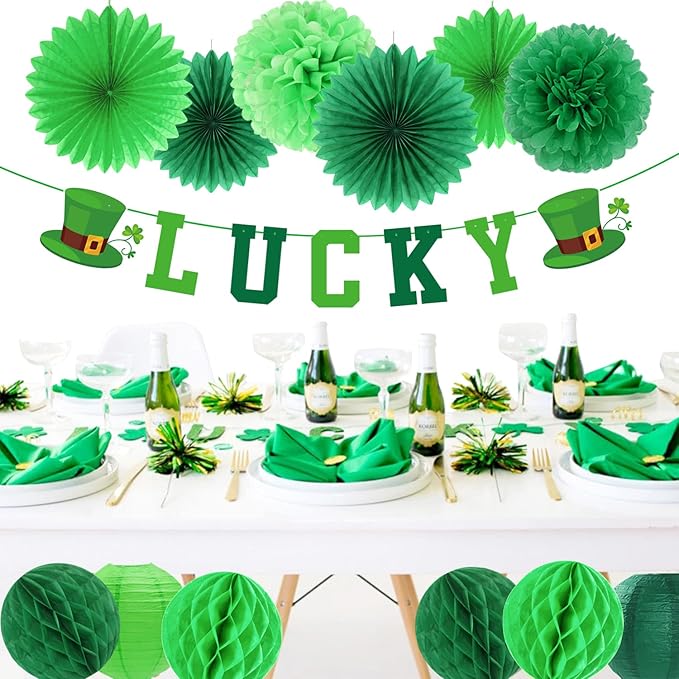 St Patricks Day Decorations Saint Patrick's Party Decor 22pcs Lucky