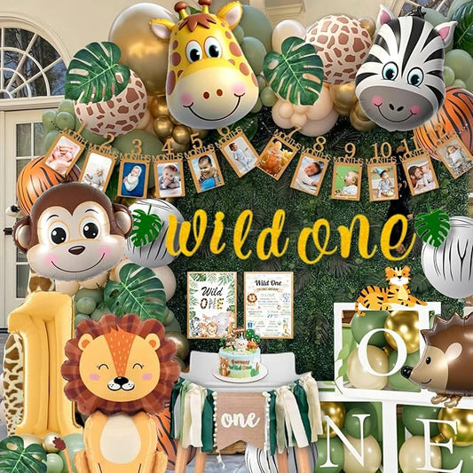Wild One Birthday Decorations 1st Birthday Decorations for Boy or