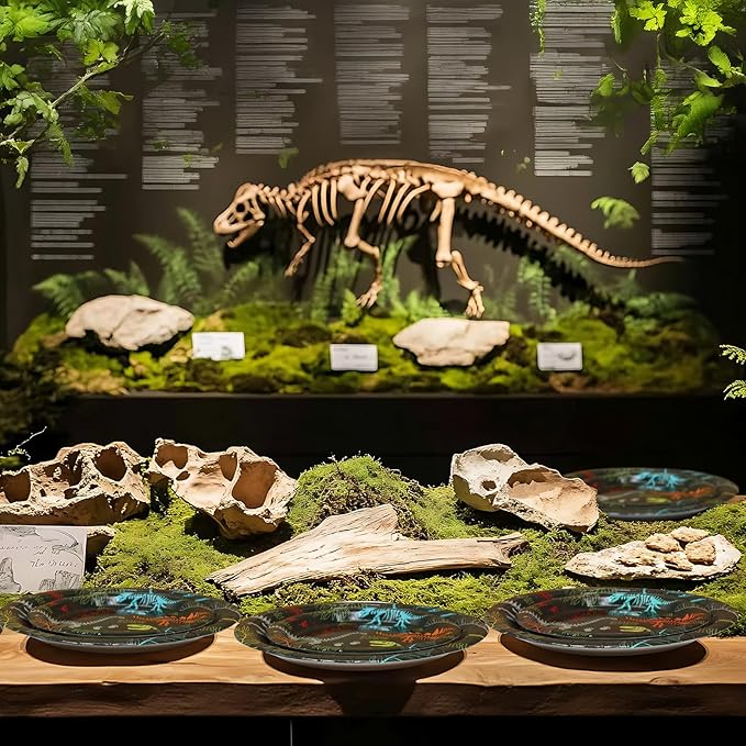 Dinosaur Fossil Birthday Party Decorations for 40 Guests Dinosaur