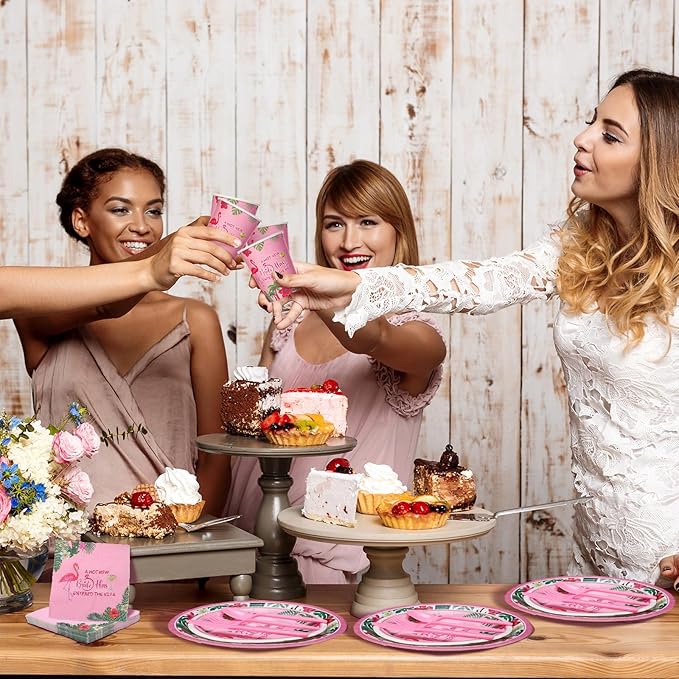 252 Pcs Bachelorette Party Tableware Set Included Plates Napkins