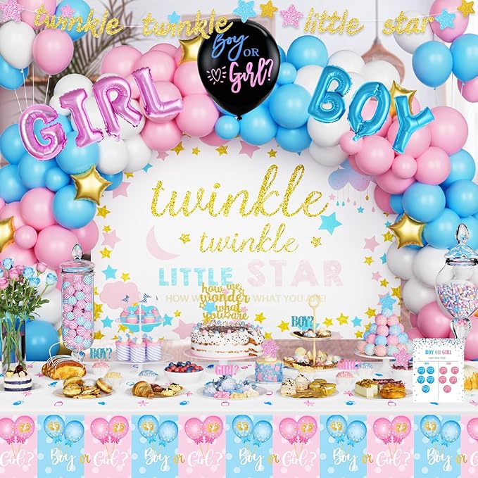 Twinkle Twinkle Little Star Gender Reveal Decorations Star Boy or