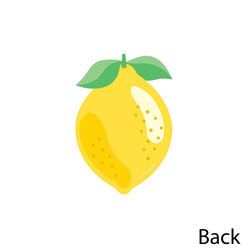 Big Dot of Happiness So Fresh Decorations DIY Citrus Lemonade Party