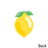 Big Dot of Happiness So Fresh Decorations DIY Citrus Lemonade Party
