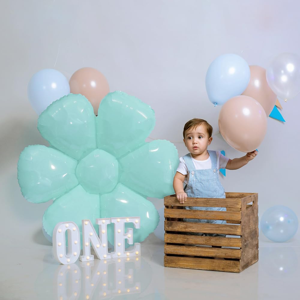 Flotable Daisy Flower Balloon Pastel Macaron Daisies Party Supplies