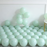 Under the Sea Party Decorations 156Pcs Blue Green Shark Balloon Arch