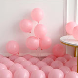 Bear Balloon Garland Arch Kit 121pcs Gender Reveal Blue Pink and