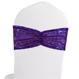 Eternal Beauty Set of 20 Sequin Sashes Bow Purple Chair Sashes for