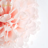 Rose Gold Wedding Decorations 15 PCS Tissue Paper Pom Poms for