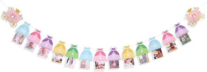 Princess 12 Month Photo Banner Princess Birthday Party Decorations