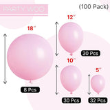 PartyWoo Baby Pink Balloons 100 pcs Different Sizes of 18 12 10 5