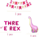 Pink 3rd Dinosaur BackdropParty Supplies