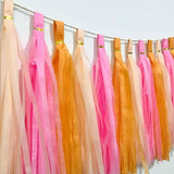 We Moment Pink Orange Peach Tissue Paper Tassels Party Tassel Garland