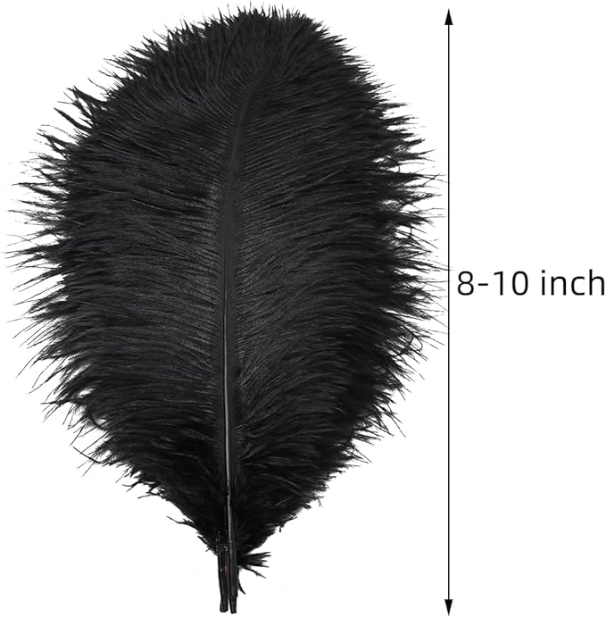 Ballinger Black Ostrich Feathers Bulk - 24Pcs 8-10inch Feathers for