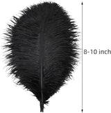 Ballinger Black Ostrich Feathers Bulk - 24Pcs 8-10inch Feathers for