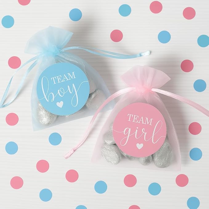 Pink or Blue Gender Reveal Party - Team Boy or Team Girl Stickers -