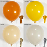 Here Comes The Sun Balloon Arch Kit 136 Pcs Retro Burnt Orange