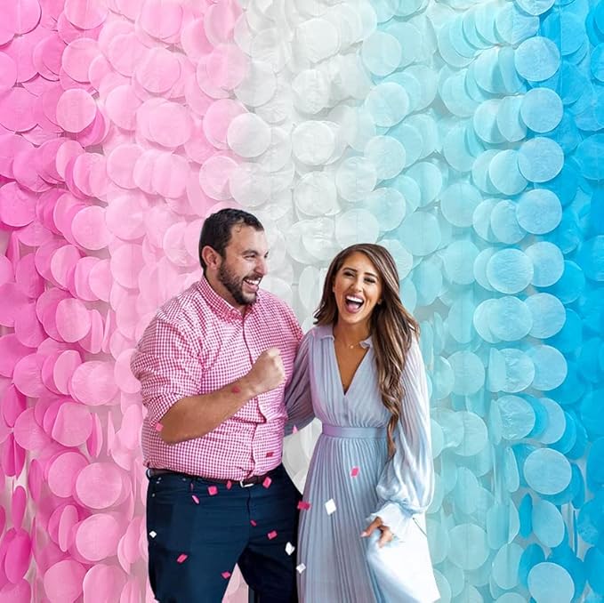 205 Ft Gender Reveal Party Decorations Ombre Pink and Blue Big
