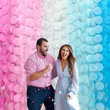 205 Ft Gender Reveal Party Decorations Ombre Pink and Blue Big