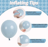 Pink and Blue Snowflake Balloons, 12 Inch Winter Wonderland Dusty