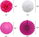 Hotpink Graduation Party Decoration Class 2026 Banner Hanging Pom