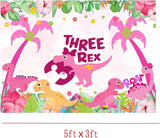 Pink 3rd Dinosaur BackdropParty Supplies