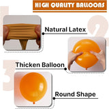 PartyWoo Burnt Orange Balloons 140pcs Different Sizes of 18 12 10 5