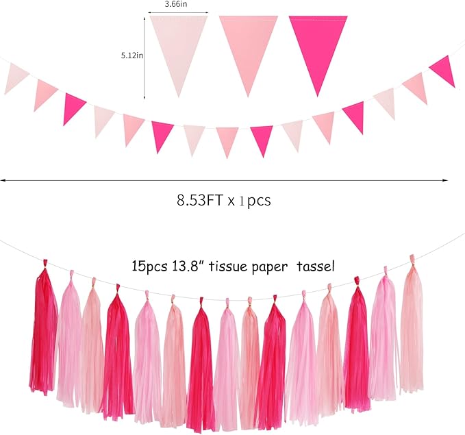Galentines Valentines Day Hot Pink Party Decorations 23pcs Girl