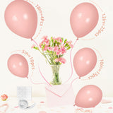 Peach Blush Balloons - Peach Blush Balloons Different Sizes 18 12 10 5