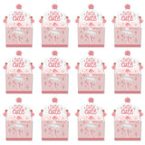 Big Dot of Happiness Tutu Cute Ballerina - Treat Box Party Favors -