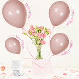 Dusty Pink Balloons, Scmdoti Pale Pink Balloons Different Sizes 18 12
