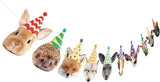 Hooqict Safari Animals Happy Birthday Banner Animal Birthday