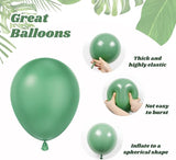 60pcs Safari Balloons, Sage Green Coffee Brown Light Brown Nude Sand
