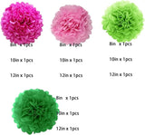 We Moment Pink and Green Tissue Paper Pom Poms，Hanging Pom Poms