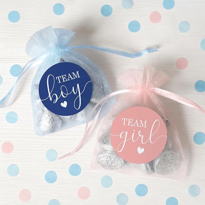 Navy and Blush Gender Reveal Party Team Blue Boy or Team Pink Girl