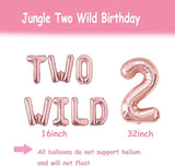 Two Wild Birthday Party Decorations Jungle Themed Secend Girl