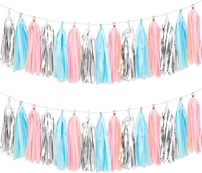 We Moment Gender Reveal Tissue Paper Tassel Banner for