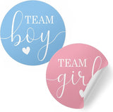 Pink or Blue Gender Reveal Party - Team Boy or Team Girl Stickers -