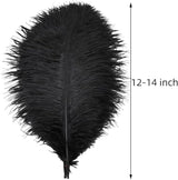 Ballinger Black Large Ostrich Feathers - 24Pcs 12-14inch Large