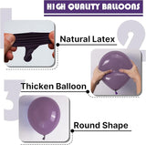 PartyWoo Dusty Purple Balloons 100 pcs Different Sizes of 18 12 10 5