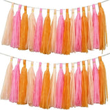We Moment Pink Orange Peach Tissue Paper Tassels Party Tassel Garland