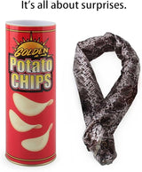The Potato Chip Snake Can Jump Spring Snake Toy Gift April Fool Day