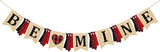 Valentine's Day Party Decorations Be Mine Felt Sign Burlap Pennant