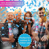Premium Gender Reveal Confetti Cannon Set of 4 Mixed 2 Blue 2 Pink