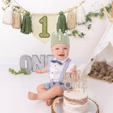 Wild One High Chair Banner for 1st Birthday Party Boy Decorations
