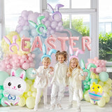 Easter balloon garland kit arch 139pcs with Easter egg chicken daisy