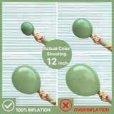 PartyWoo Sage Green Balloons 140pcs Different Sizes Pack of 18 12 10