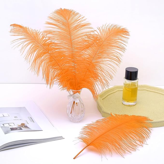 Ballinger Orange Large Ostrich Feathers - 24Pcs 12-14inch Big