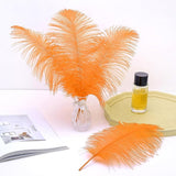 Ballinger Orange Large Ostrich Feathers - 24Pcs 12-14inch Big